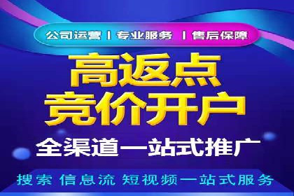 成功案例：专业SEM托管服务助力企业抢占行业制高点